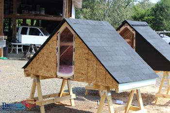 Asphalt Shingle Roof No Venting