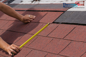 Your Roof Shingles