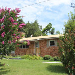 Therma Vent with Shingles