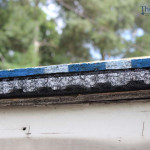 Therma Vent with Shingles