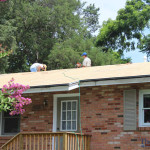 Therma Vent with Shingles